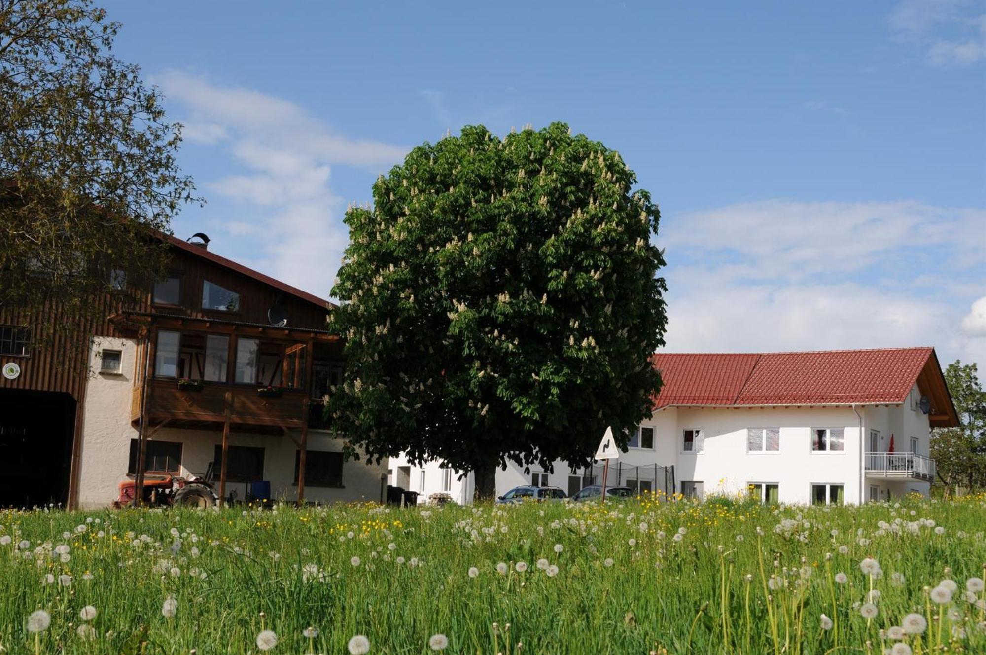 Ferienhof Hopfgaertle Mueller Bodnegg 外观 照片